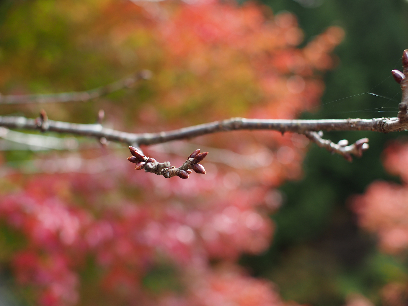 PB11080407.jpg