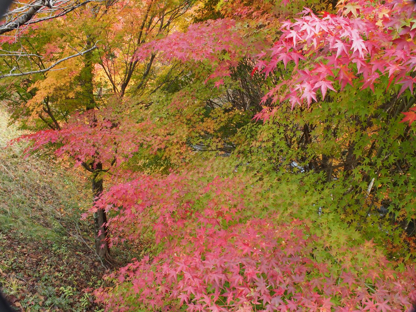 PB11080410.jpg