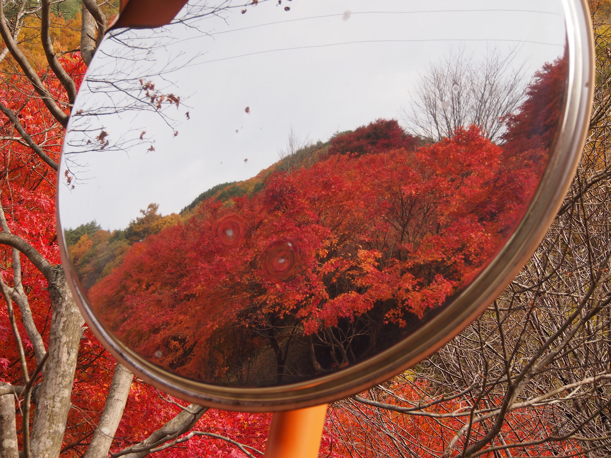 PB11080412.jpg