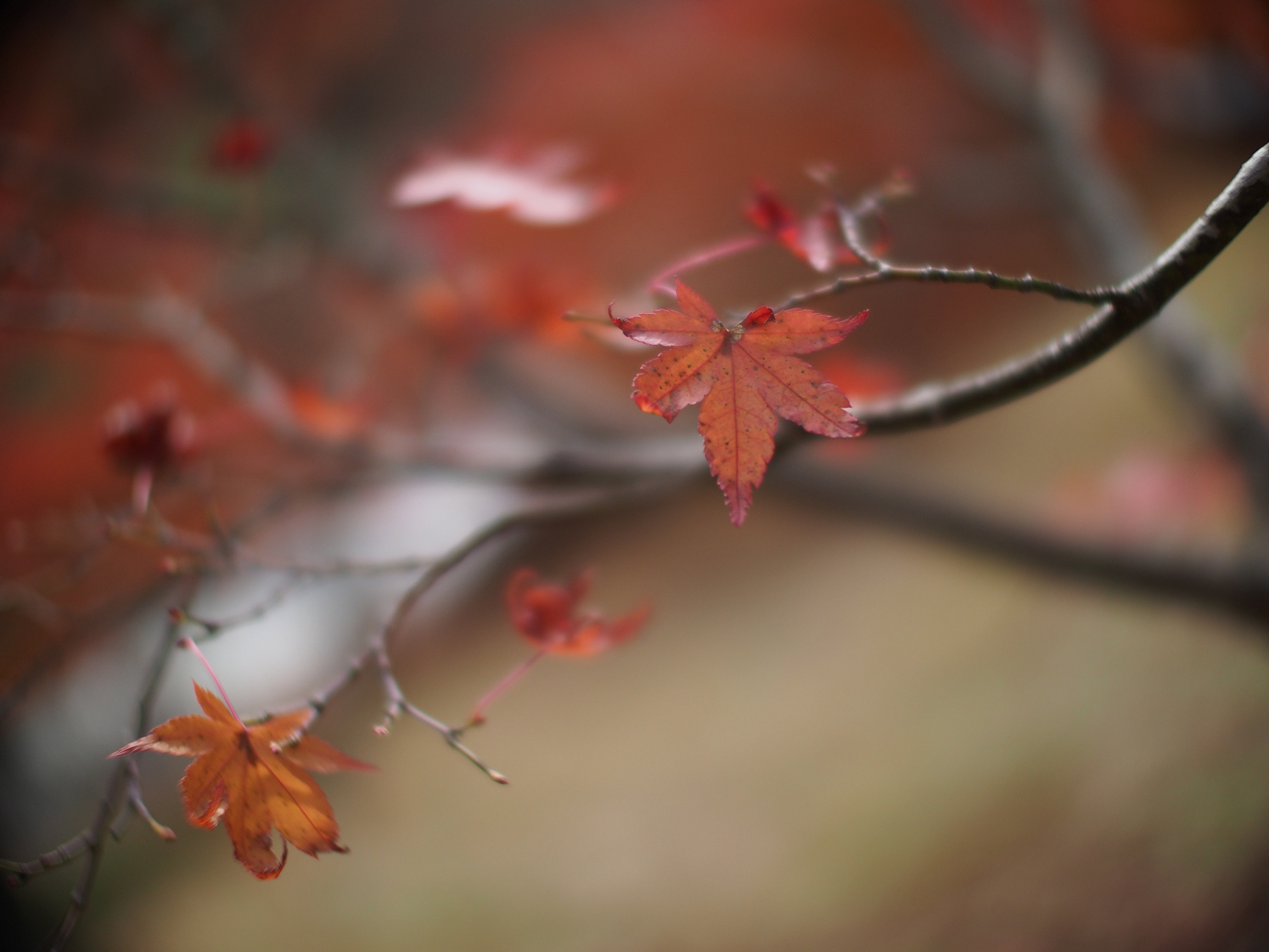 PB11080423.jpg