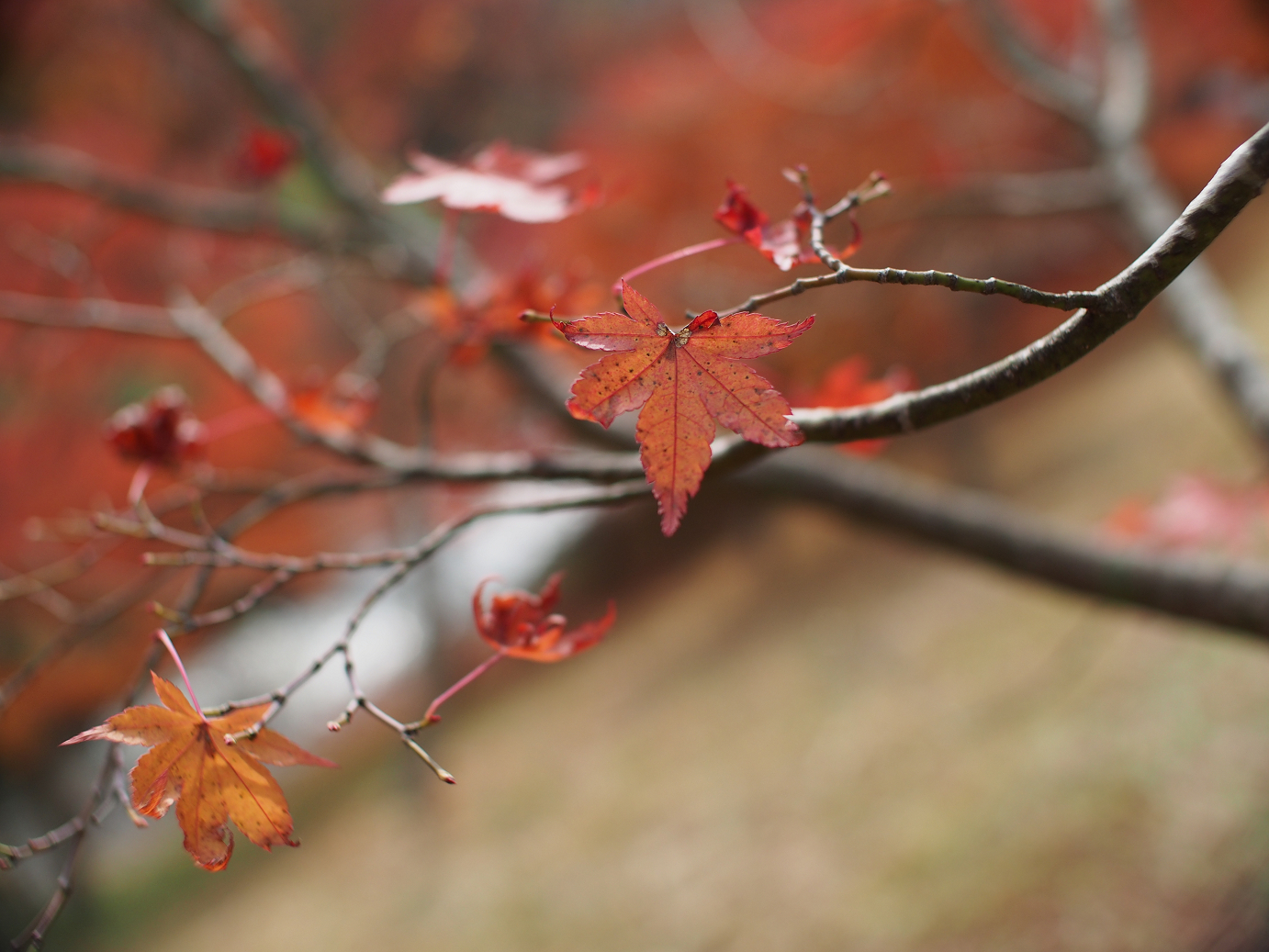 PB11080424.jpg