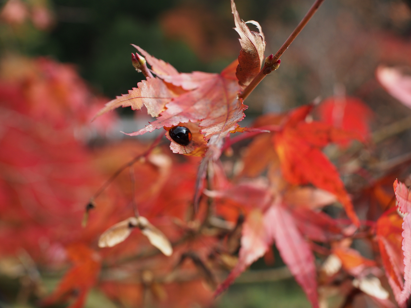 PB11080430.jpg