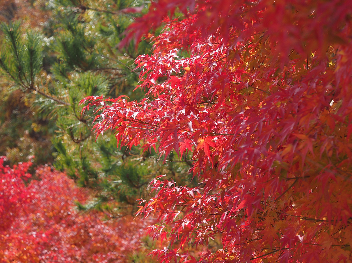 PB11080448.jpg