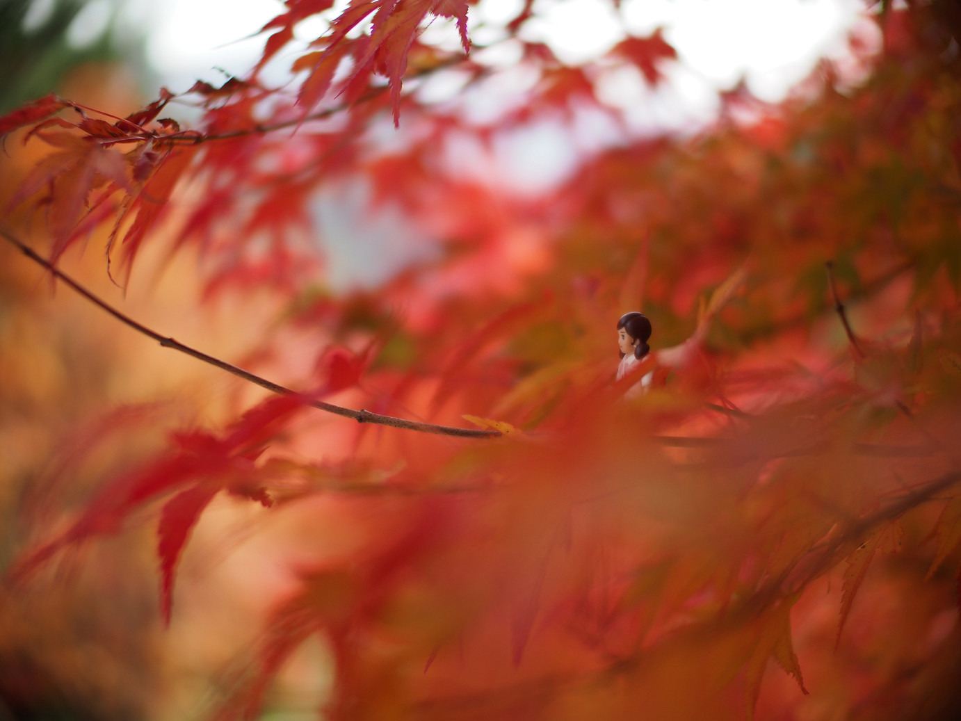 PB11080457.jpg