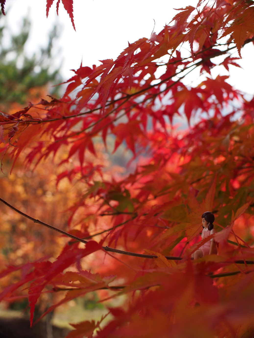 PB11080459.jpg