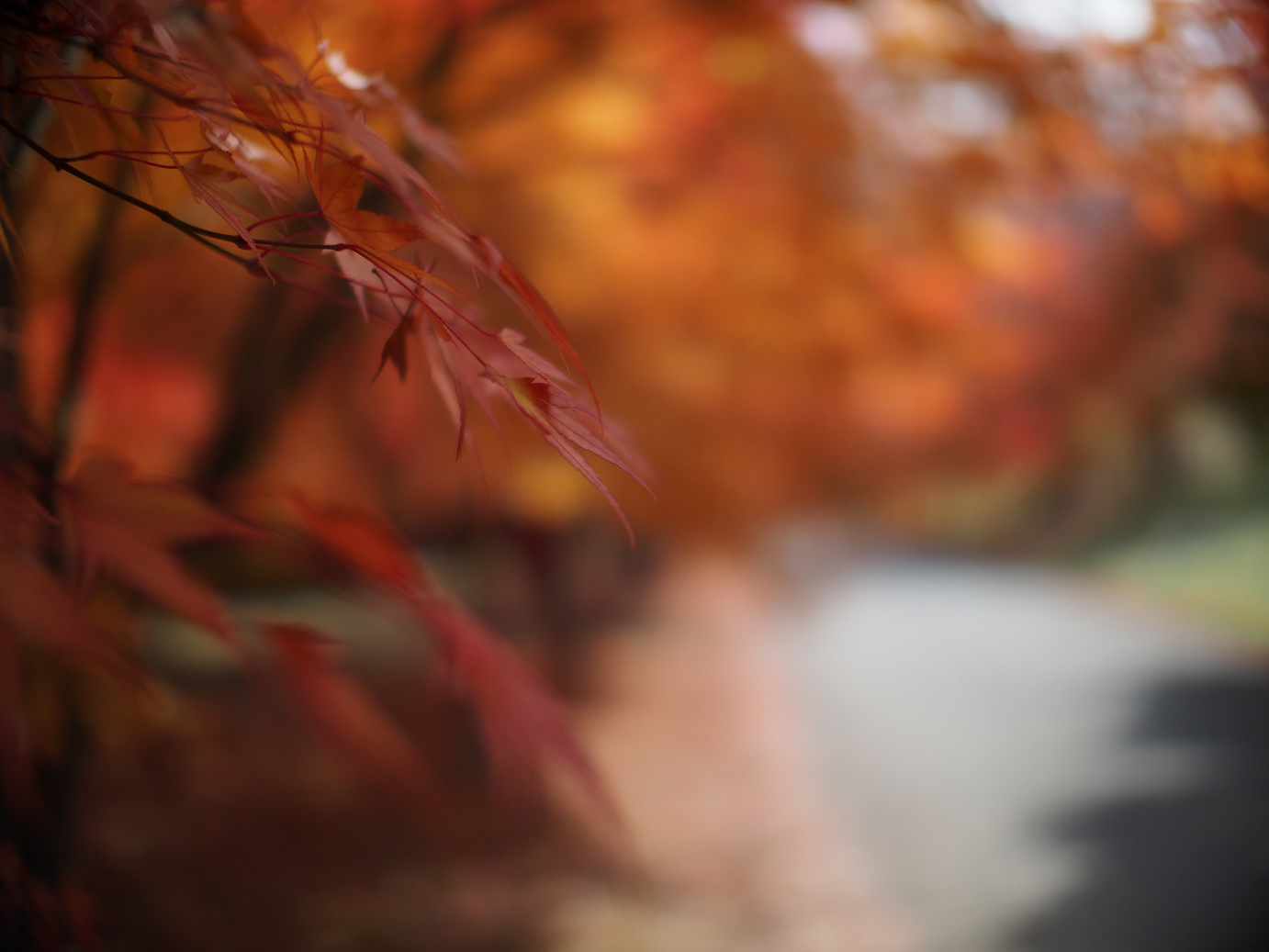 PB11080513.jpg