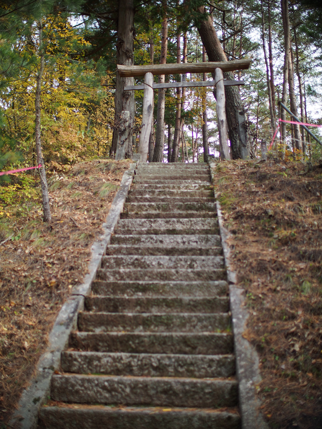 PB11080567.jpg