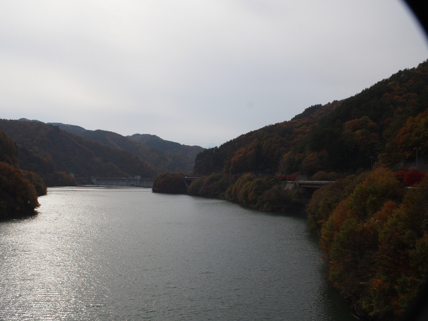 PB11080571.jpg