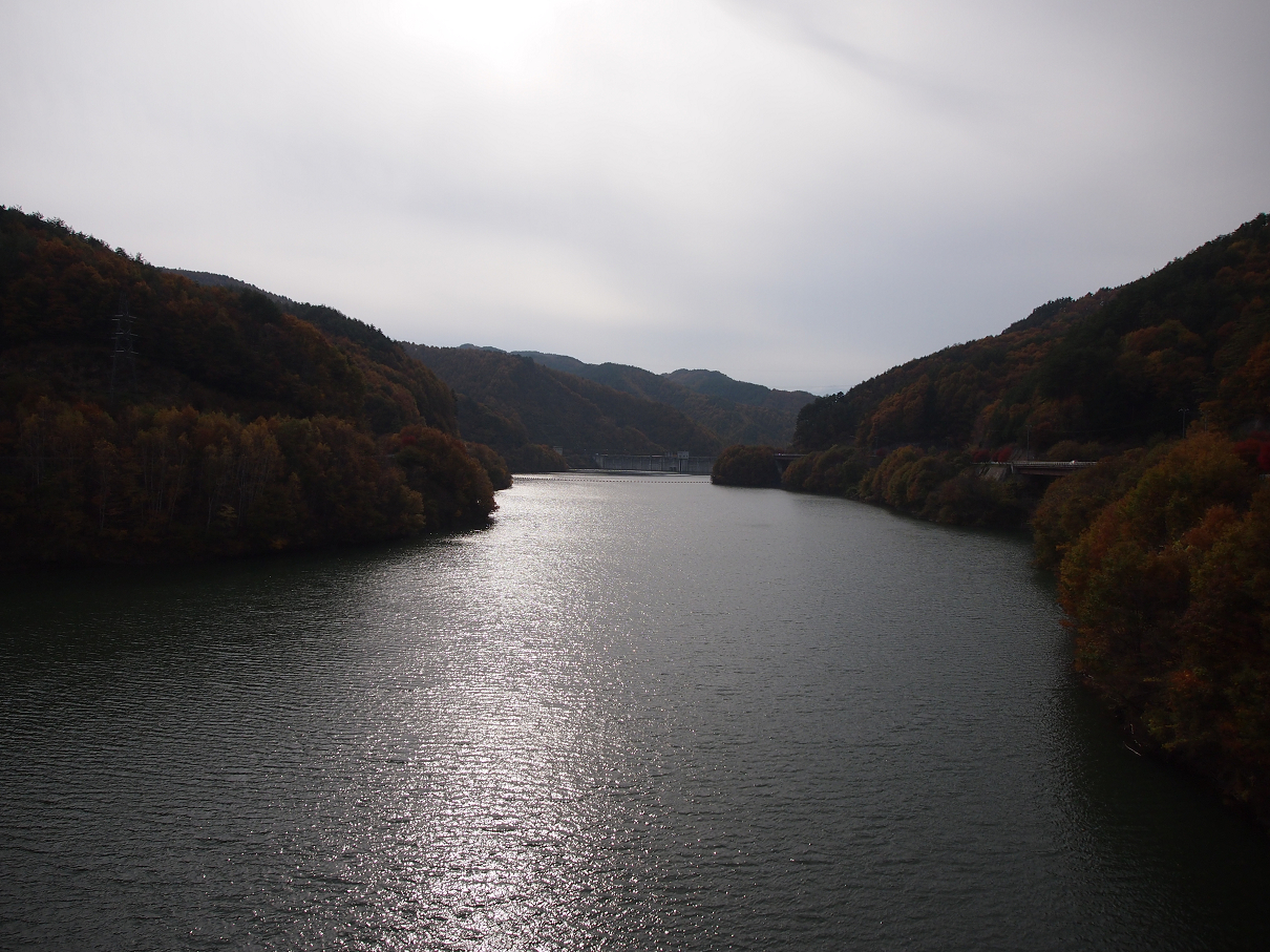 PB11080572.jpg
