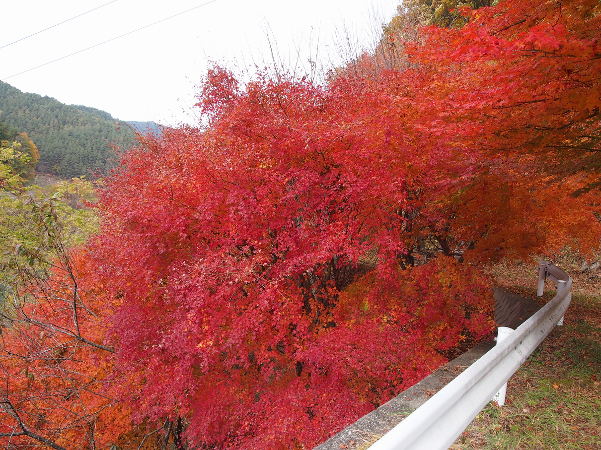 PB11080579.jpg