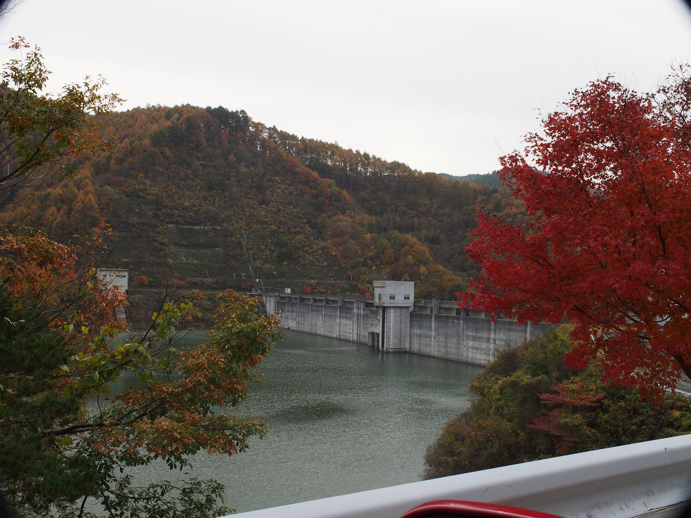 PB11080585.jpg