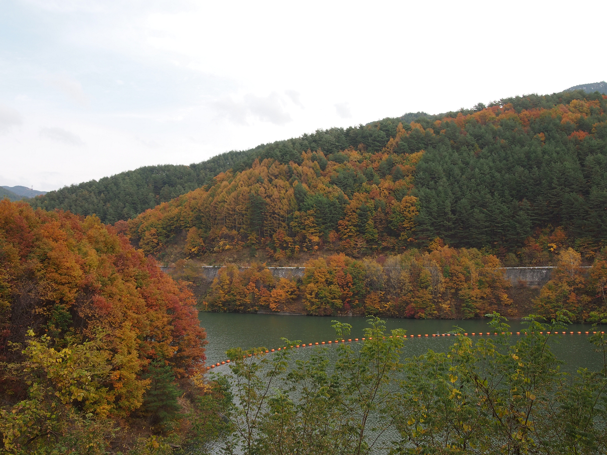 PB11080586.jpg