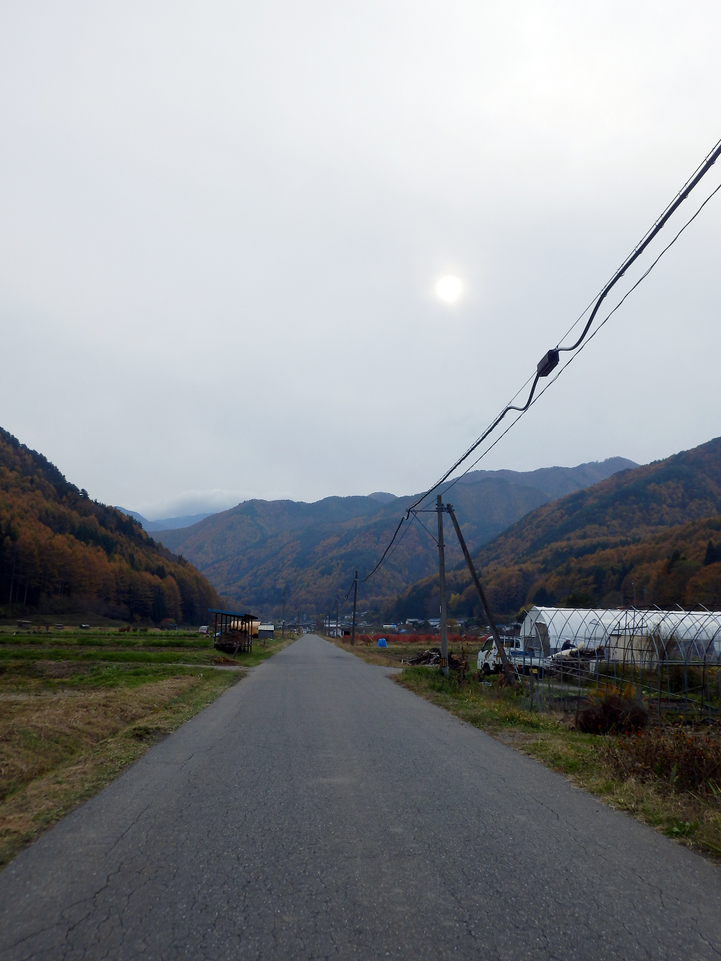 PB11080596.jpg