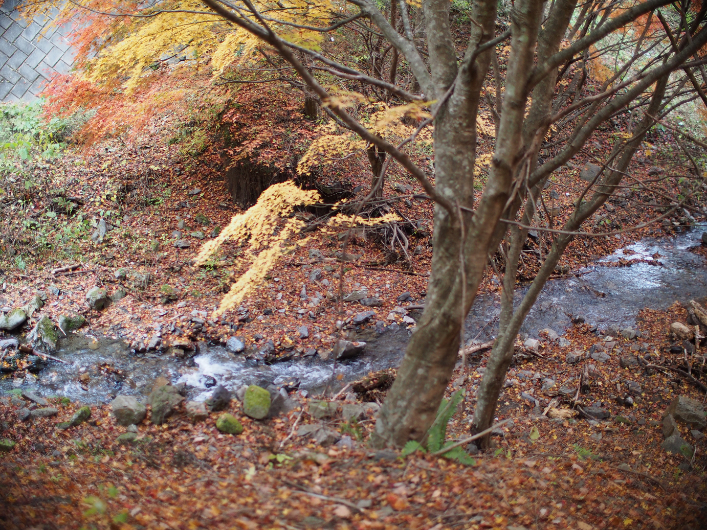 PB11080599.jpg