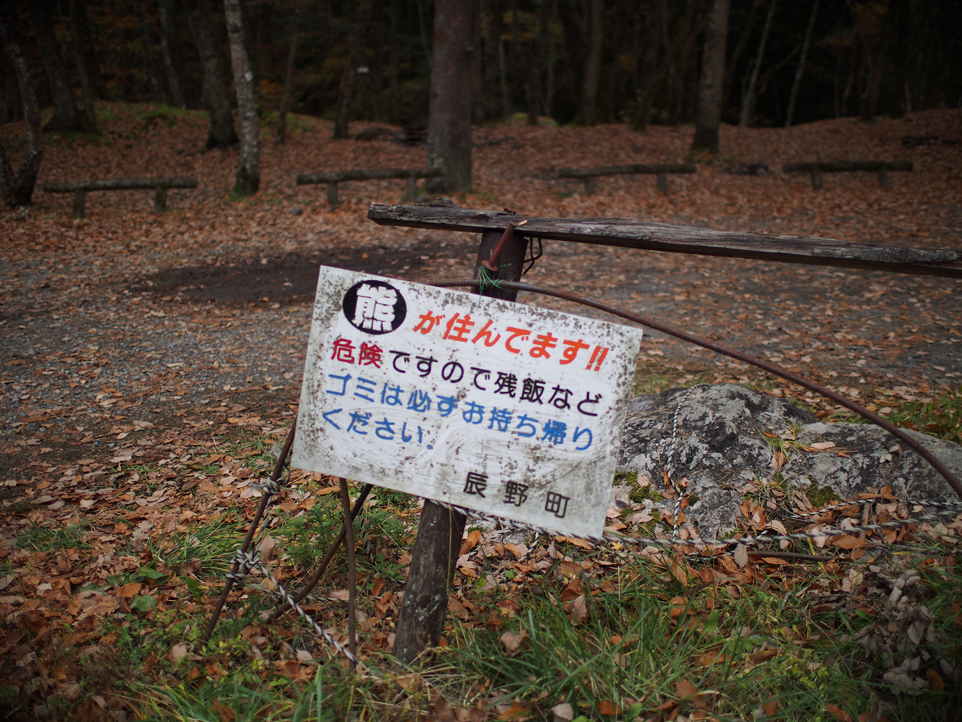 PB11080608.jpg