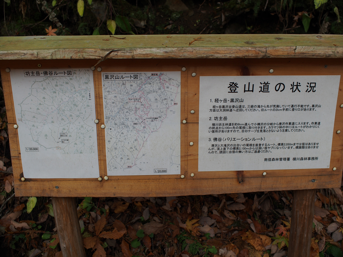 PB11080649.jpg