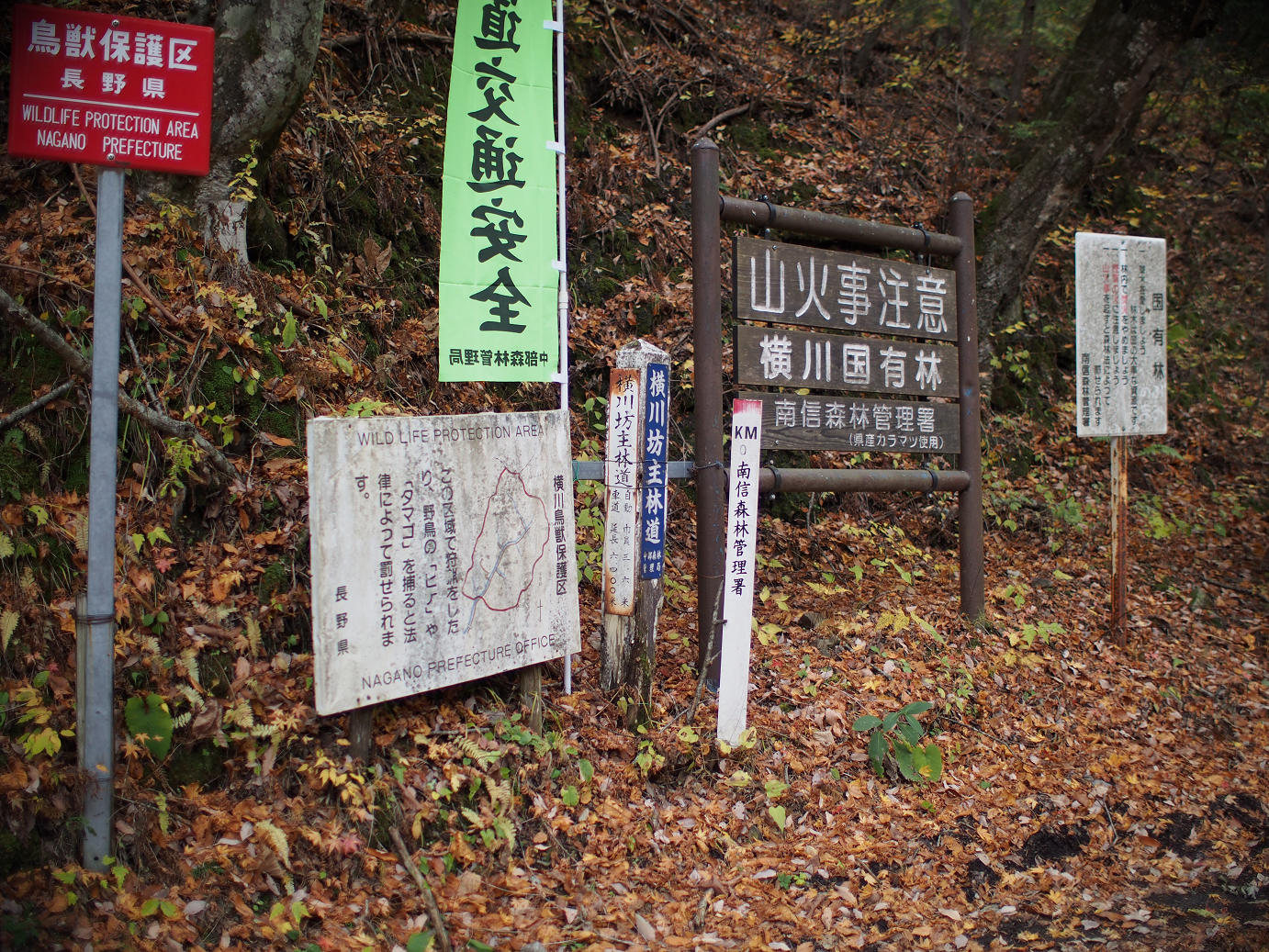 PB11080650.jpg
