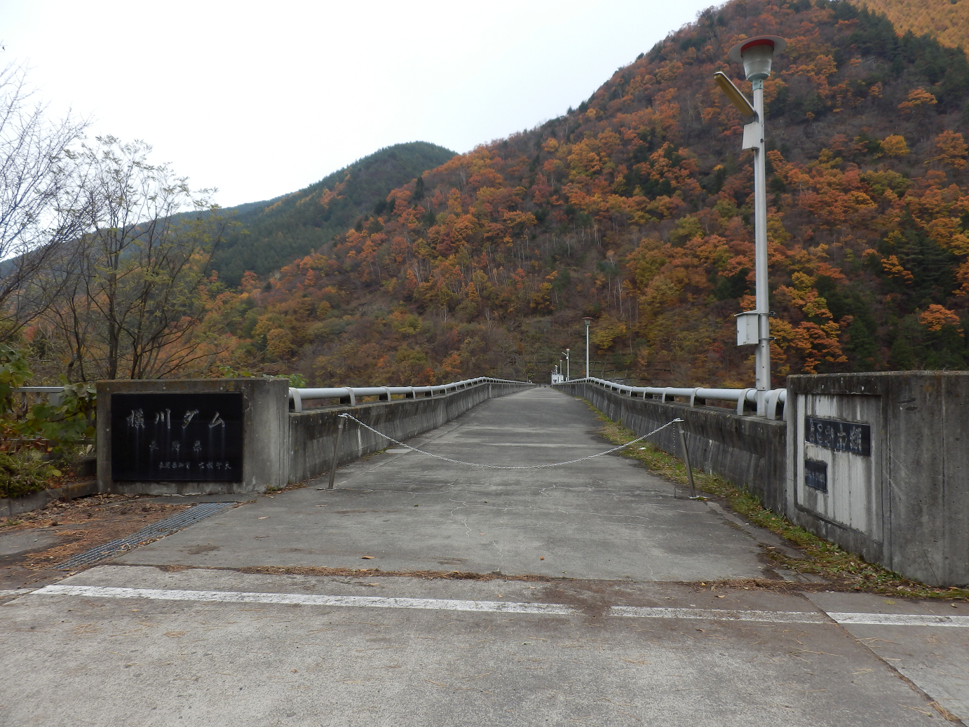 PB11080652.jpg