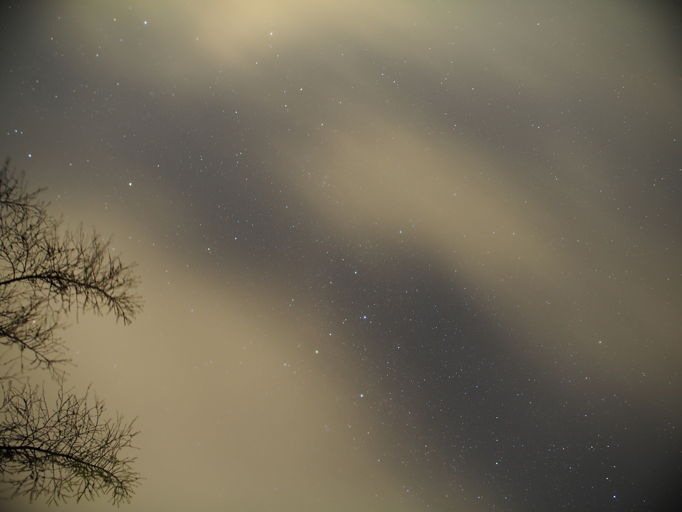 PB11080654.jpg