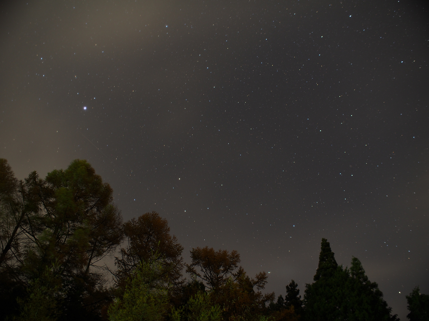 PB11080655.jpg