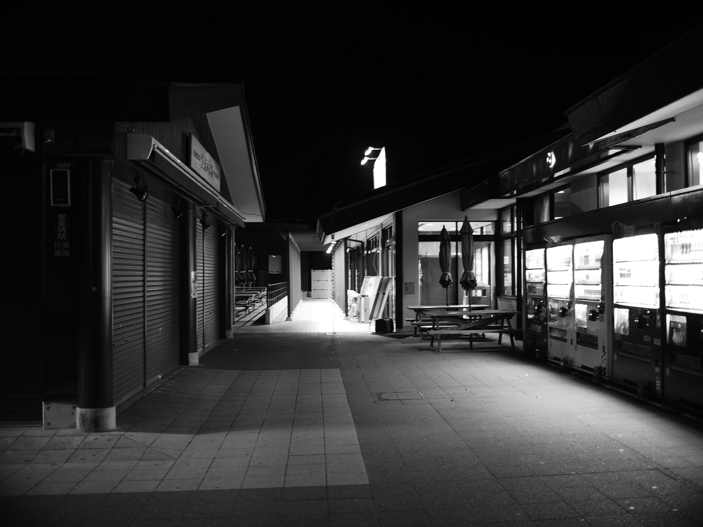 PB11080675.jpg