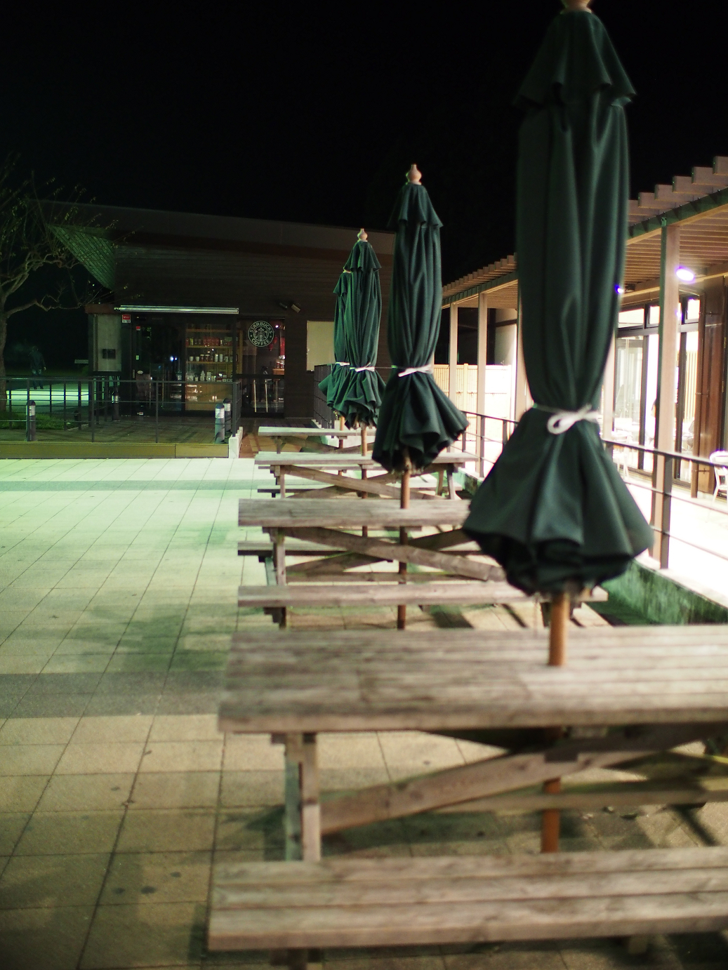 PB11080680.jpg