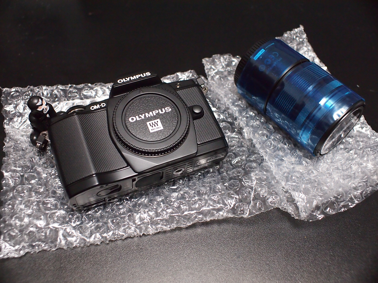 PB11150002.jpg