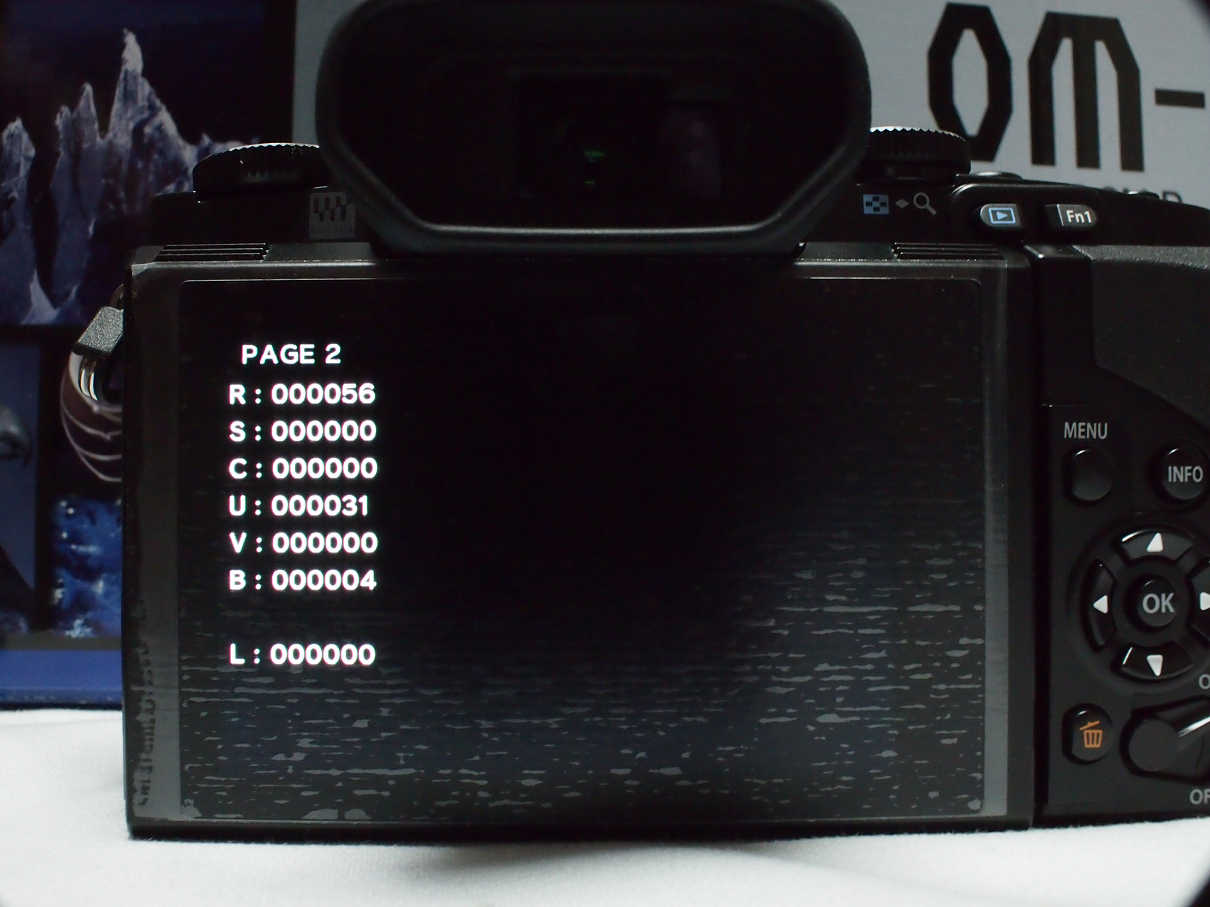 PB11150010.jpg