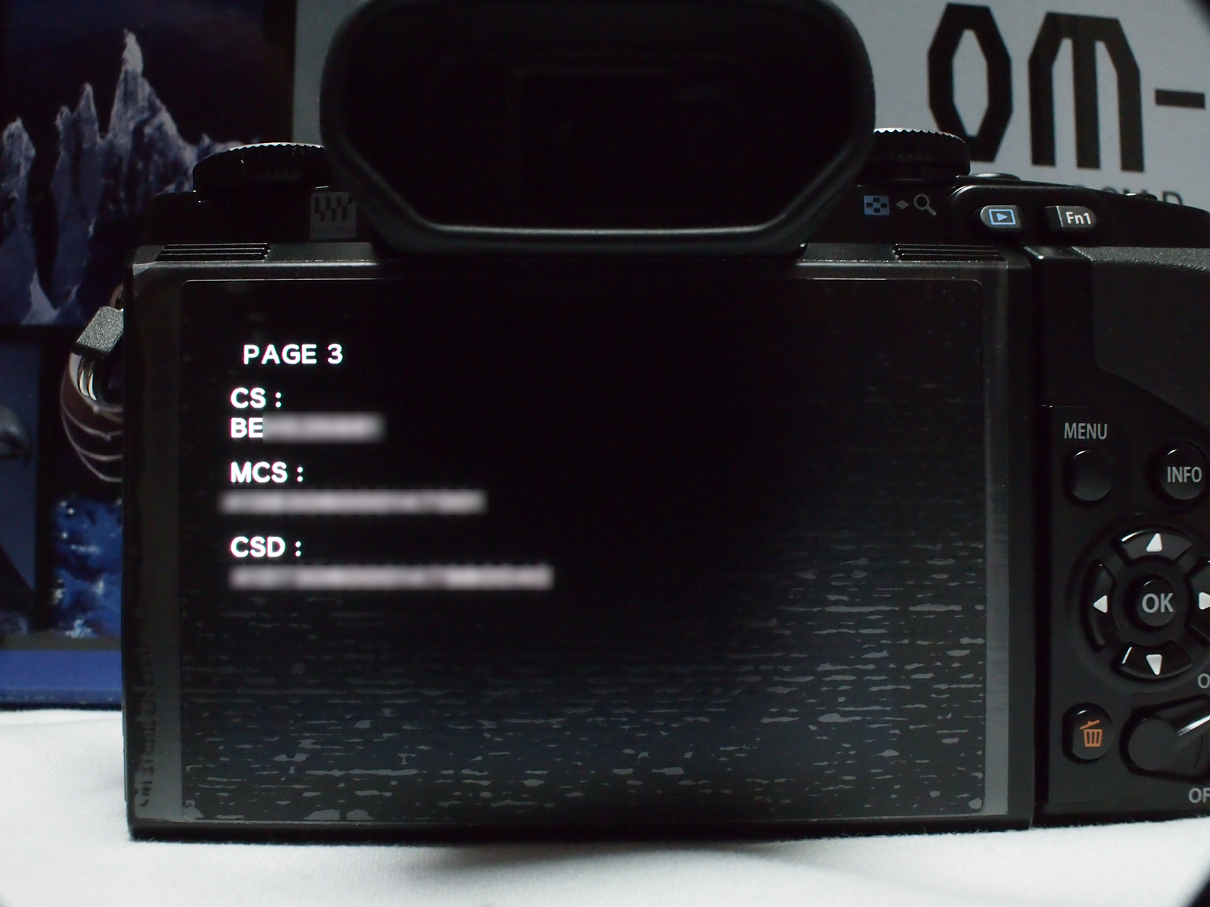 PB11150011.jpg