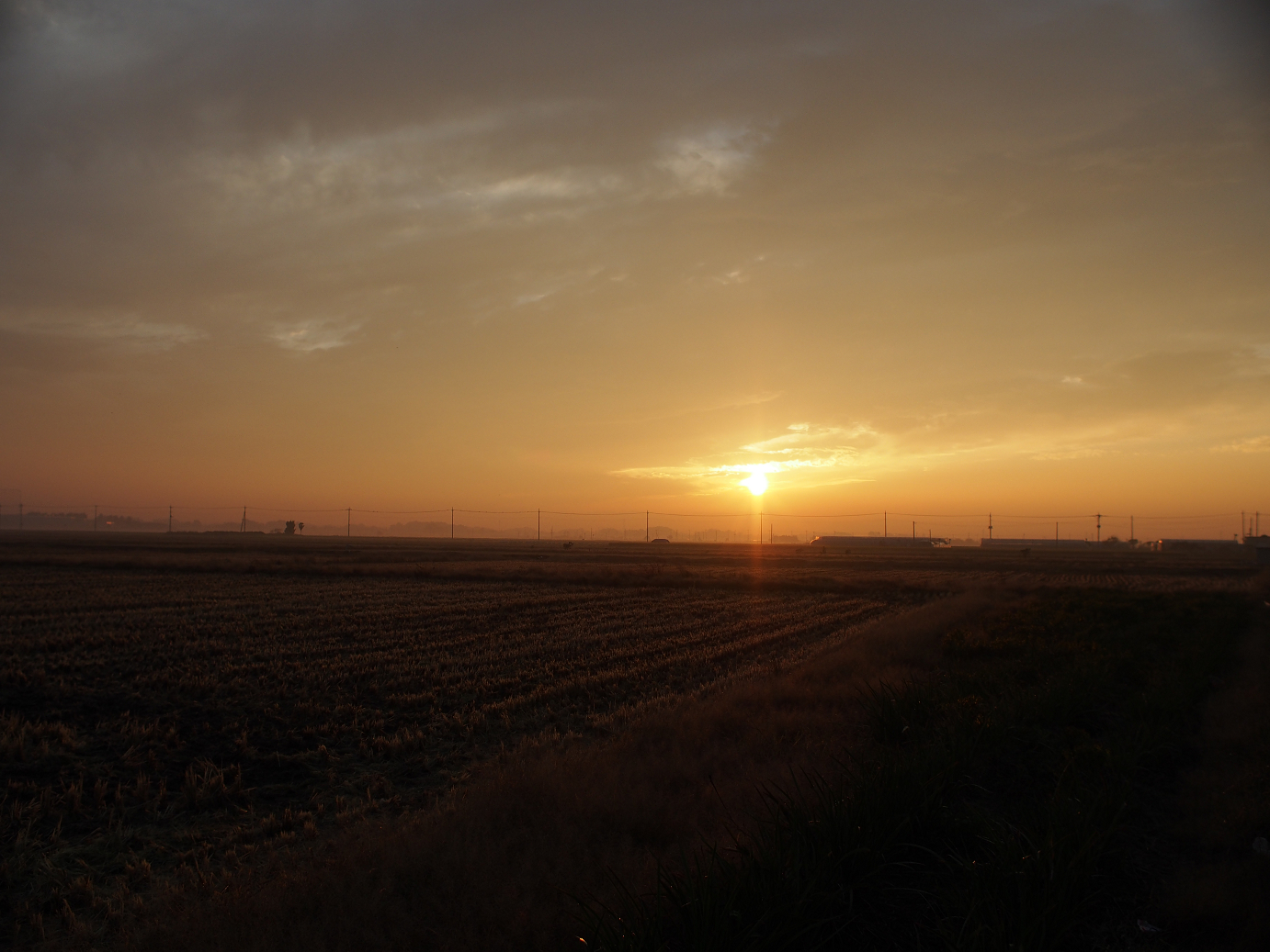 PB11150012.jpg