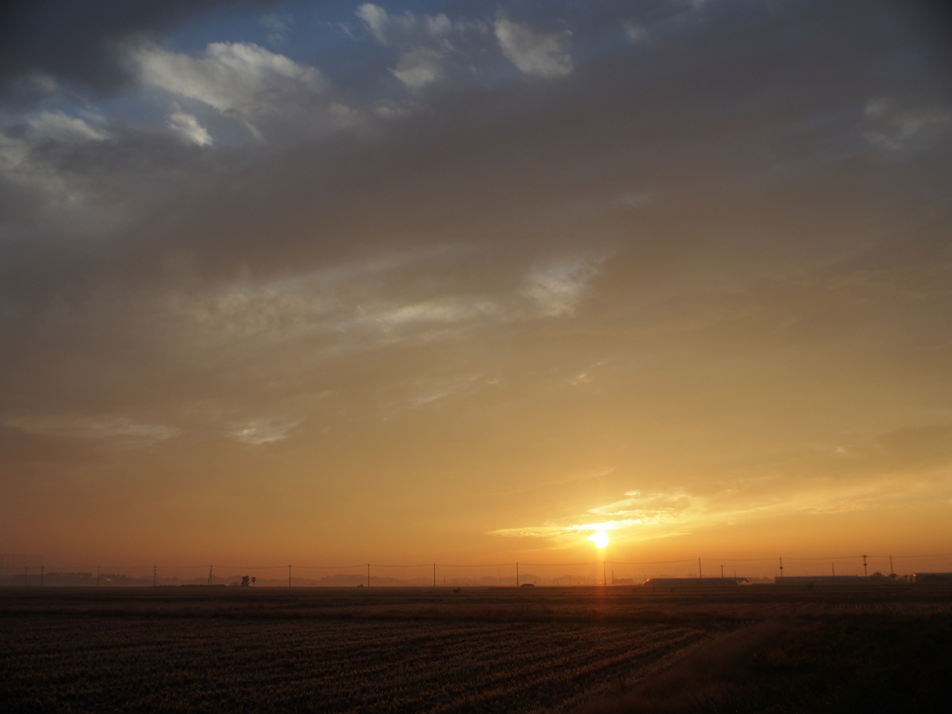 PB11150013.jpg