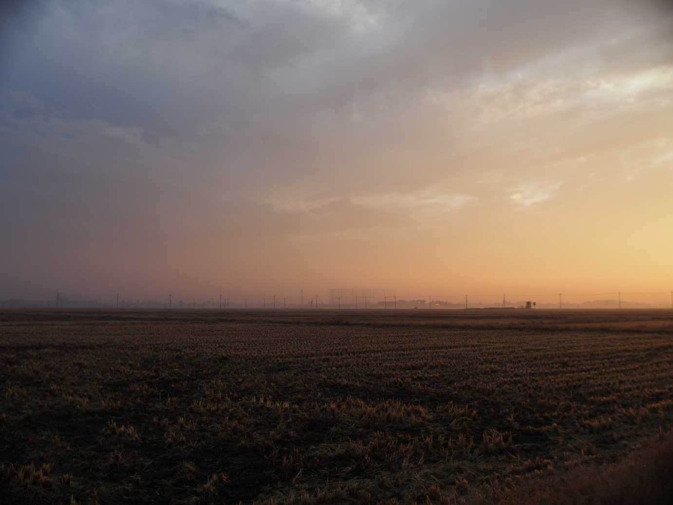 PB11150014.jpg