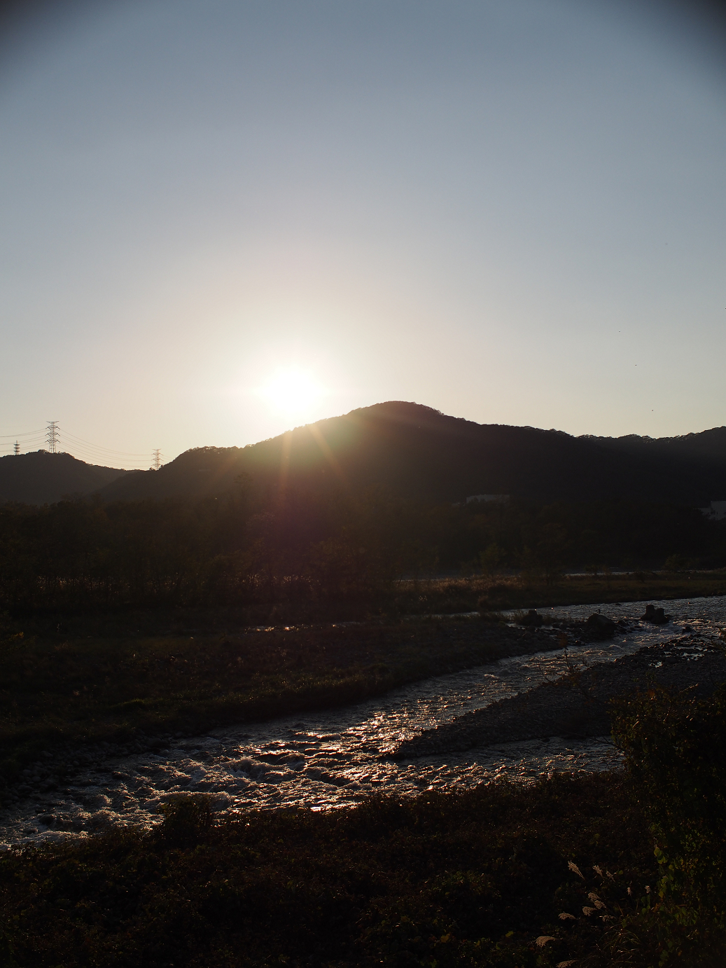 PB11150028.jpg