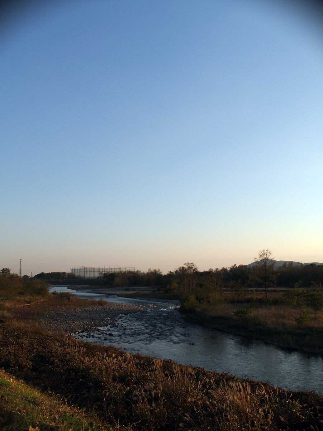 PB11150031.jpg