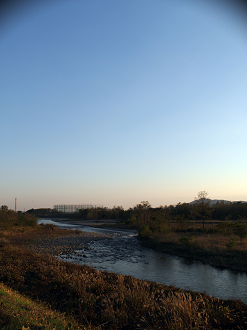 PB11150031_thumb.png