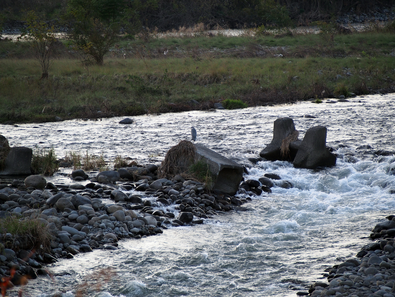 PB11150034.jpg