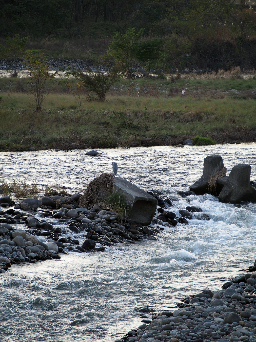 PB11150035.jpg