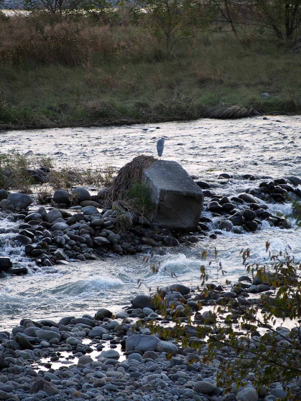 PB11150036.jpg