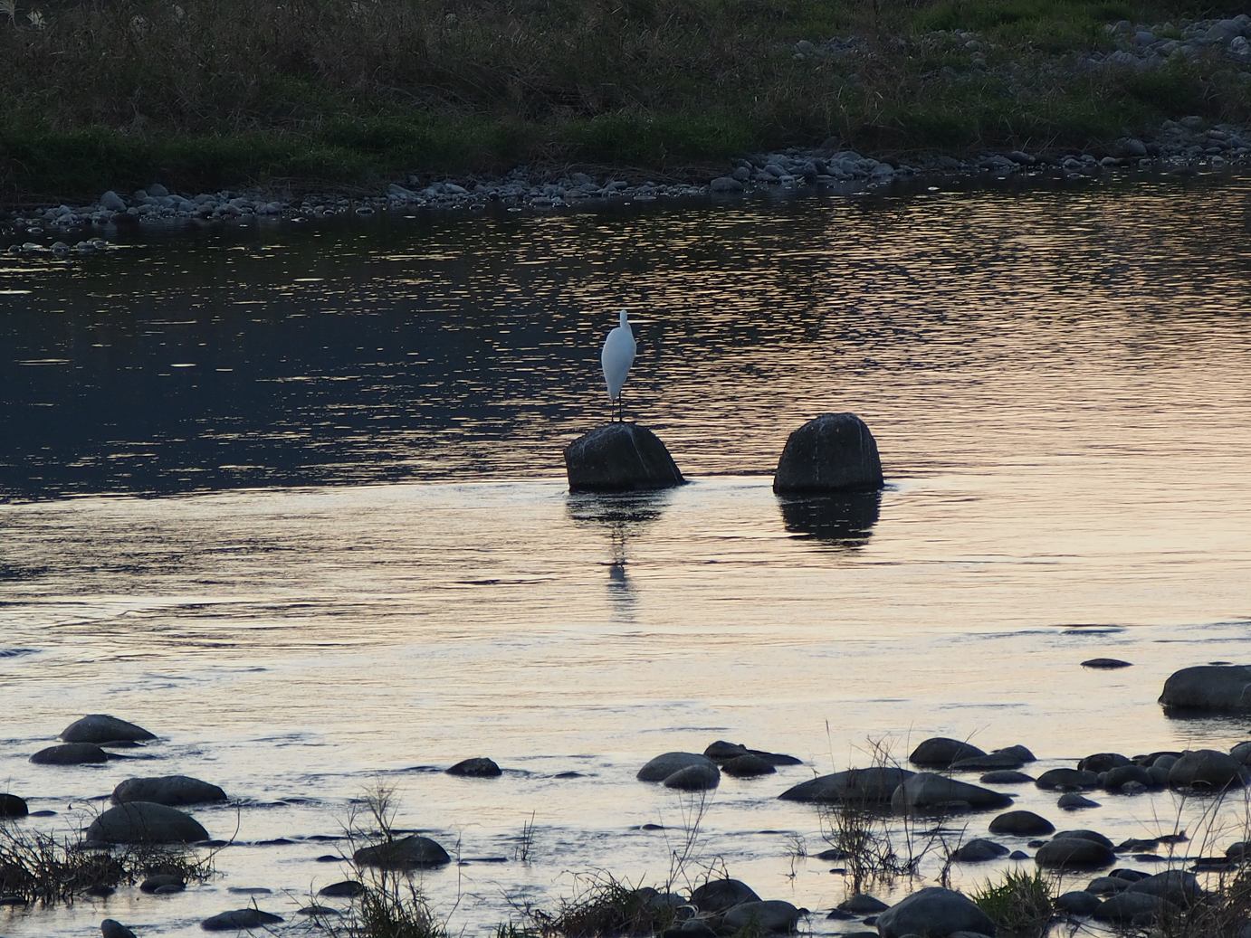 PB11150040.jpg