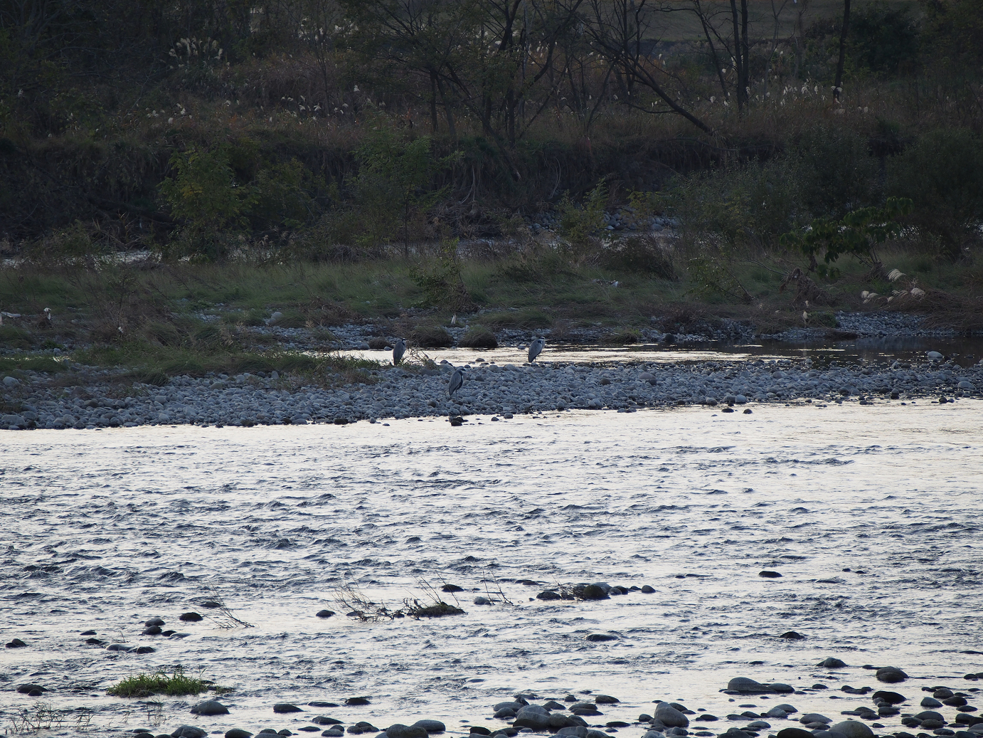 PB11150041.jpg