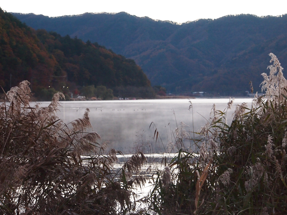 PB22010063.jpg