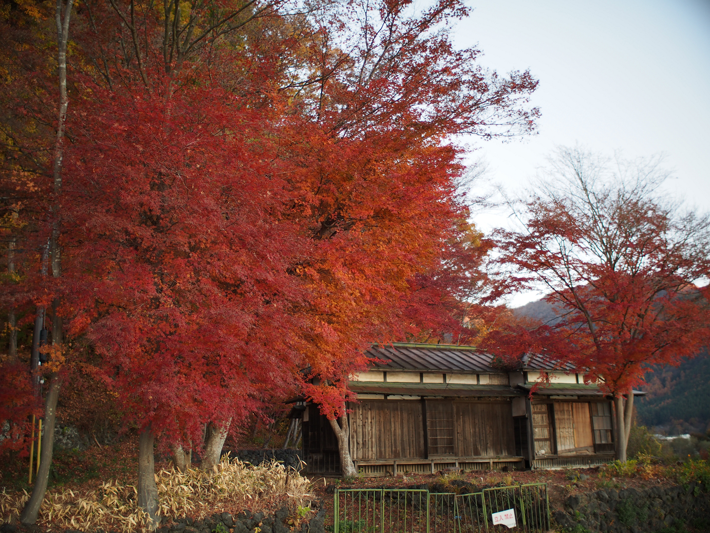 PB22010078.jpg