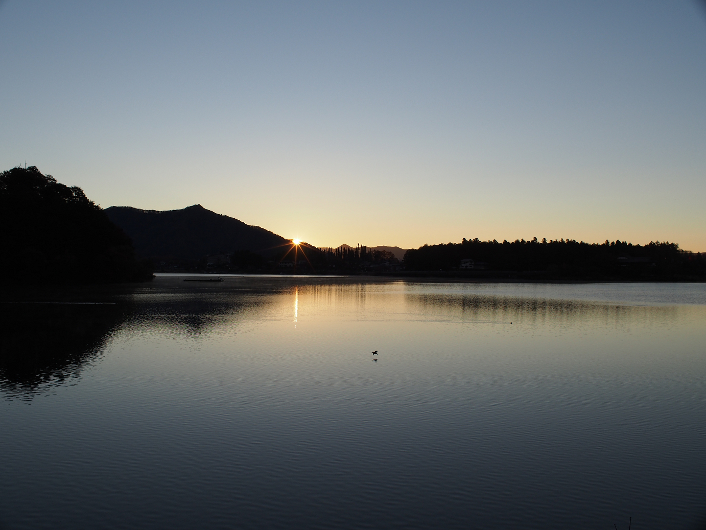 PB22010093.jpg