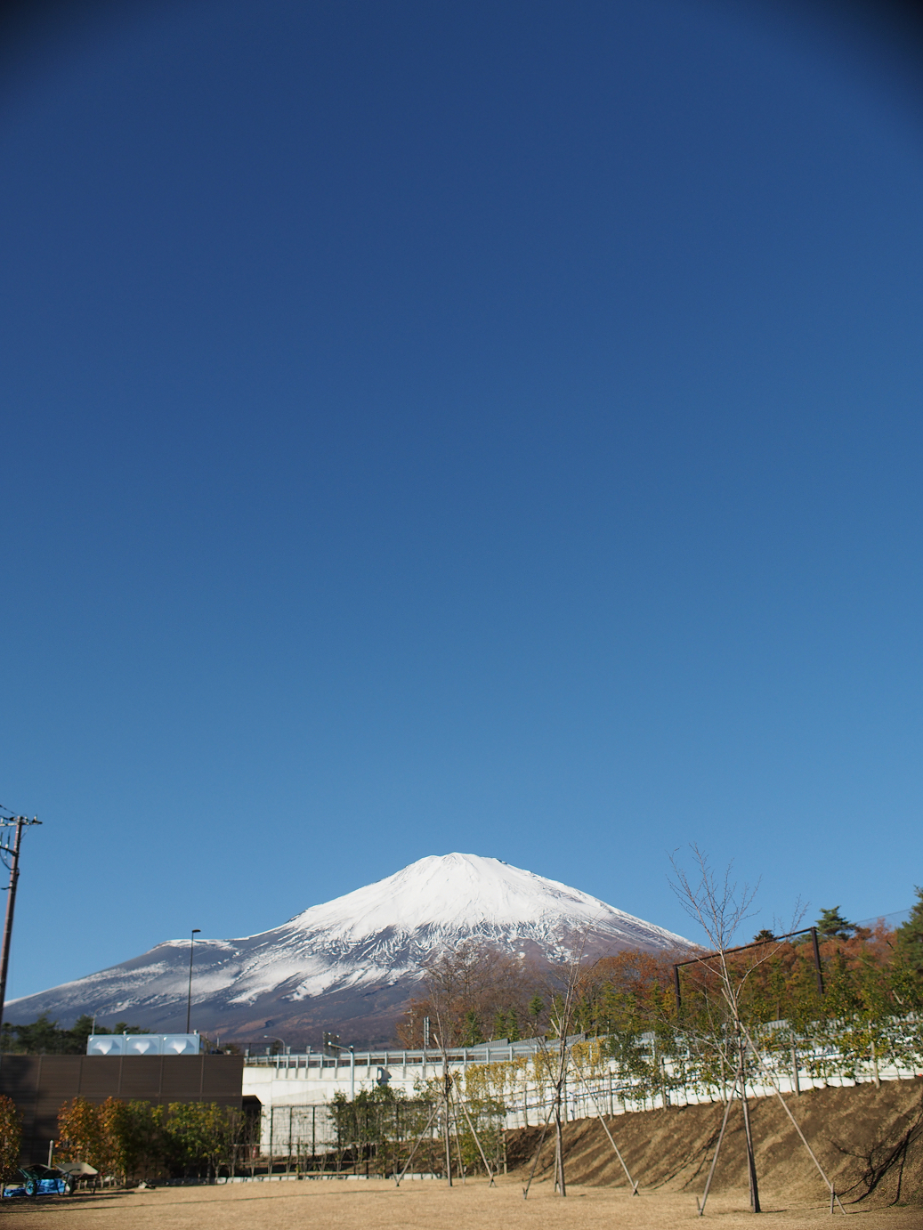 PB22010126.jpg