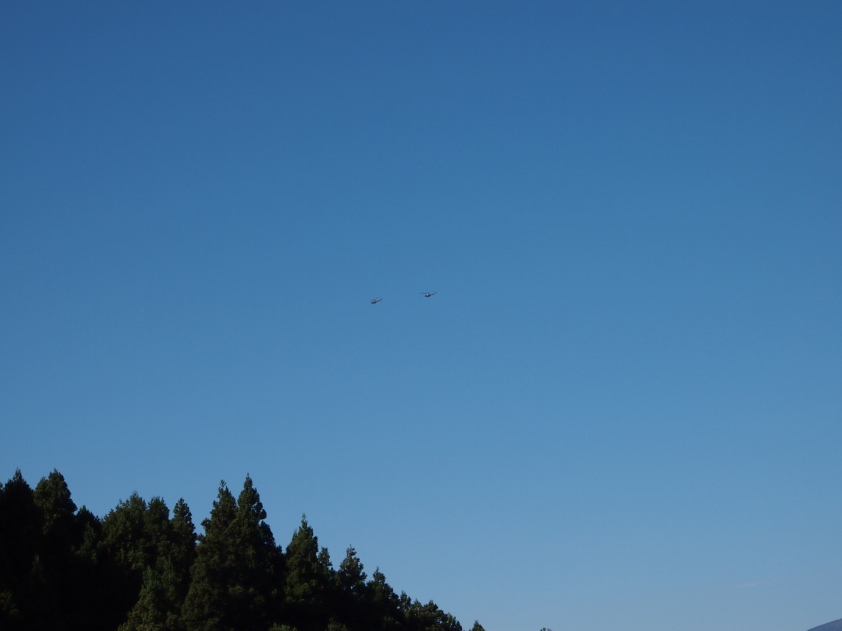 PB22010146.jpg