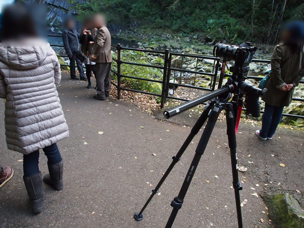 PB22010209.jpg