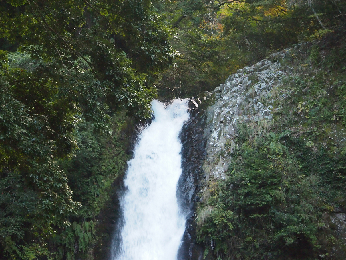 PB22010215.jpg
