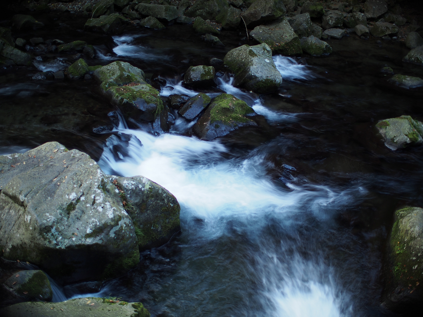 PB22010220.jpg