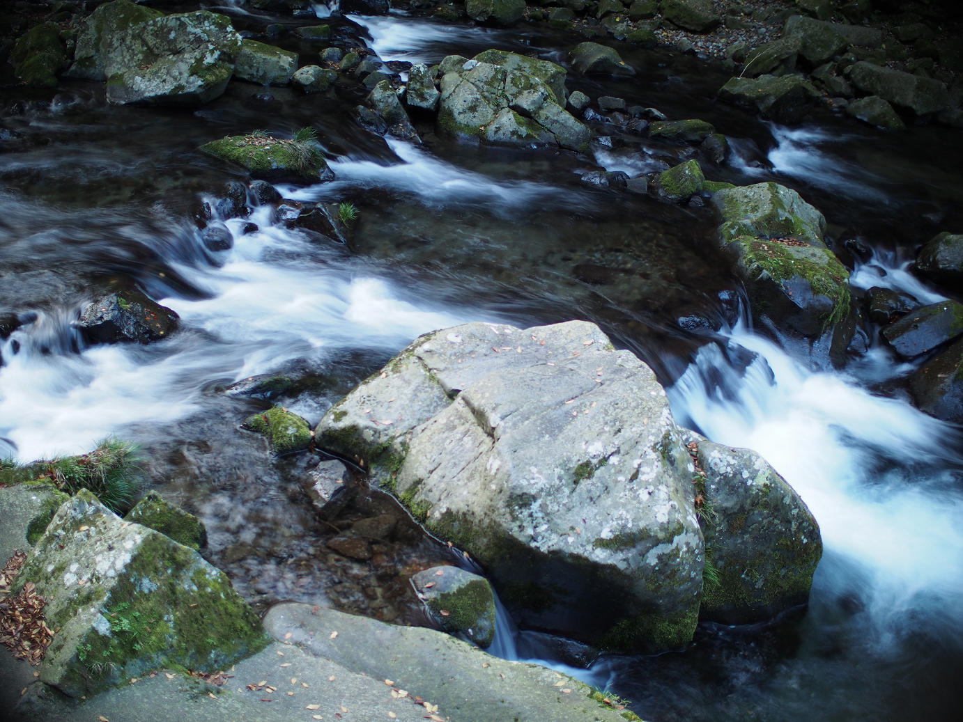 PB22010221.jpg
