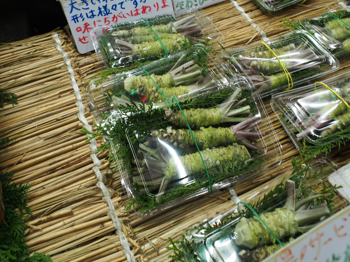 PB22010226.jpg
